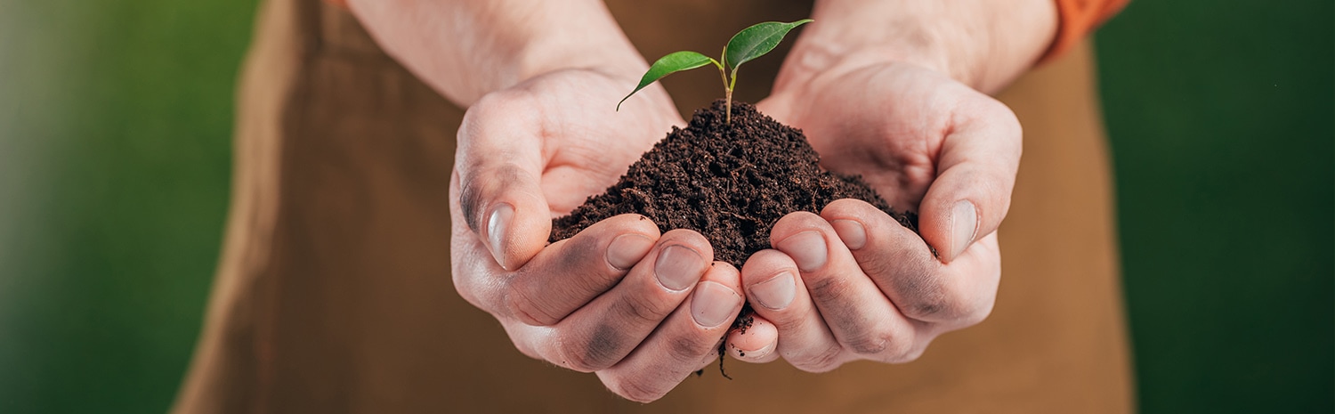 Maaltijdboxen en het milieu